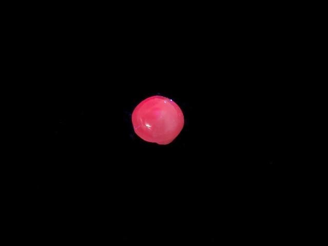Alexandrite Cat's Eye Cabochon 1pc NO.9 [One of a kind]