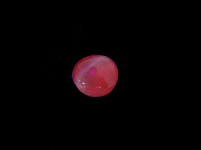 Alexandrite Cat's Eye Cabochon 1pc NO.13 [One of a kind]