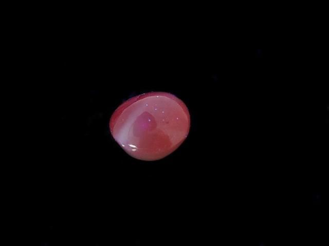 Alexandrite Cat's Eye Cabochon 1pc NO.16 [One of a kind]