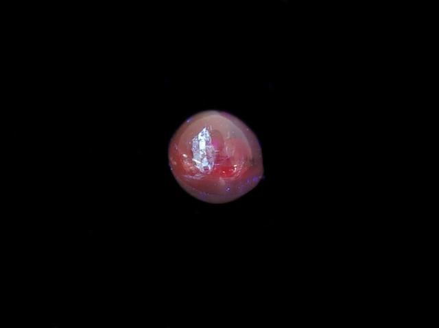 Alexandrite Cat's Eye Cabochon 1pc NO.20 [One of a kind]
