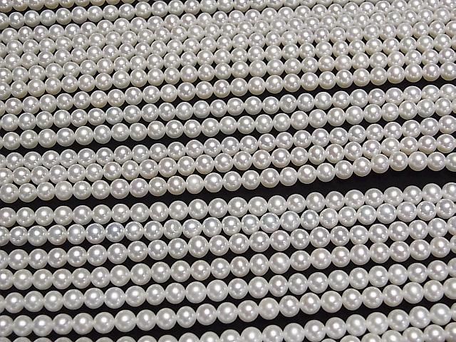 [Video] Fresh Water Pearl AAA Semi Round 4.5mm White Half or 1strand beads (approx. 15inch/37cm)