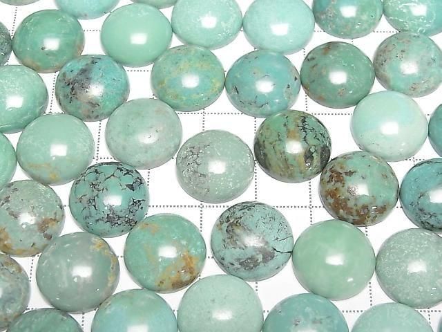 Turquoise AA++ Round Cabochon 15x15mm [Green] 2pcs