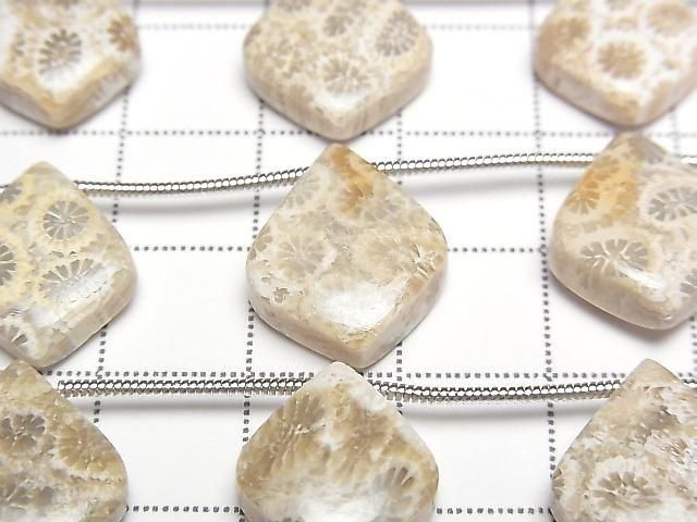 Fossil Coral Deformed Pear Shape (Smooth) 1 Strand (5pcs)