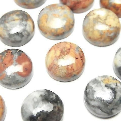 Marigano Jasper Round Cabochon 12x12mm 2pcs