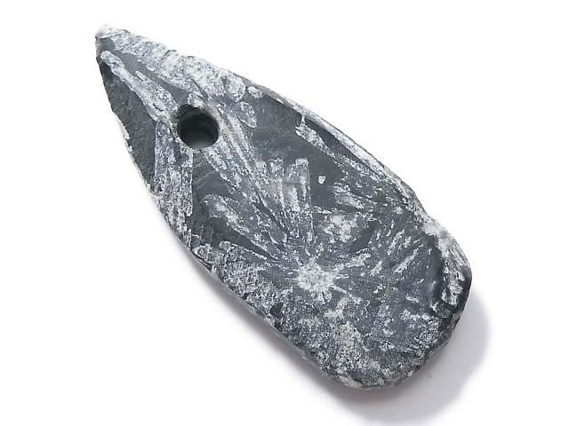 Chrysanthemum Stone 1pc NO.1 [One of a kind]