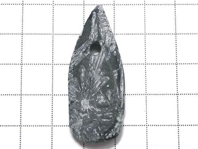 Chrysanthemum Stone 1pc NO.1 [One of a kind]