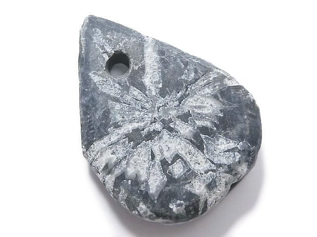 Chrysanthemum Stone 1pc NO.2 [One of a kind]