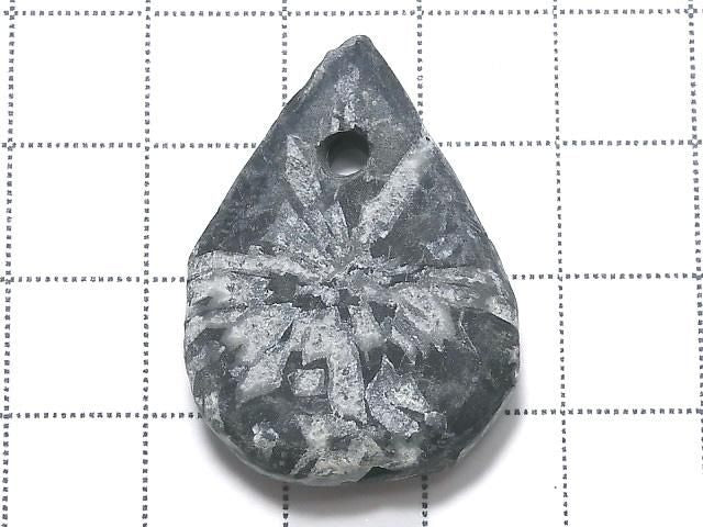 Chrysanthemum Stone 1pc NO.2 [One of a kind]