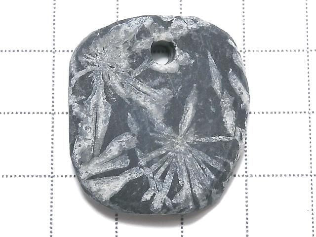 Chrysanthemum Stone 1pc NO.3 [One of a kind]