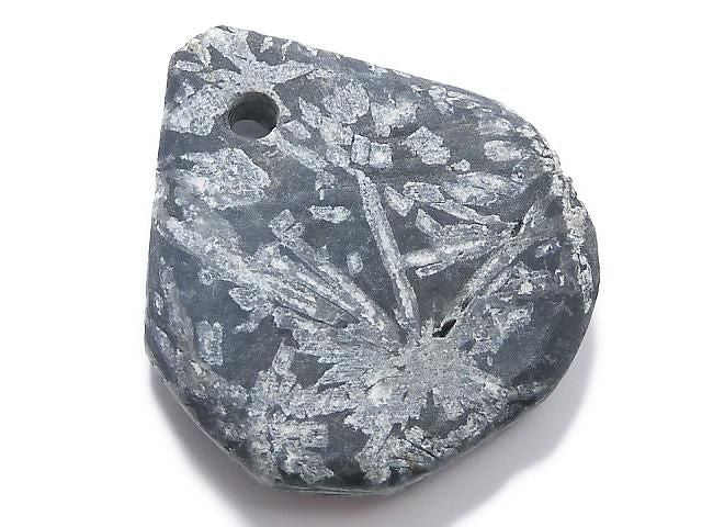 Chrysanthemum Stone 1pc NO.6 [One of a kind]