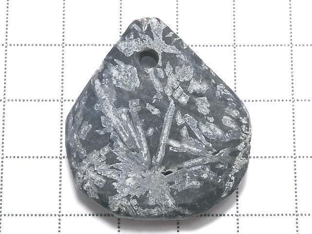 Chrysanthemum Stone 1pc NO.6 [One of a kind]