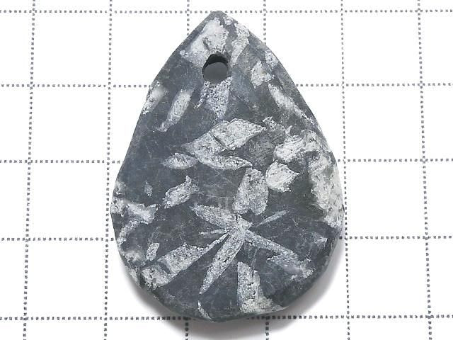 Chrysanthemum Stone 1pc NO.7 [One of a kind]