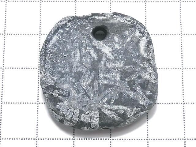 Chrysanthemum Stone 1pc NO.10 [One of a kind]
