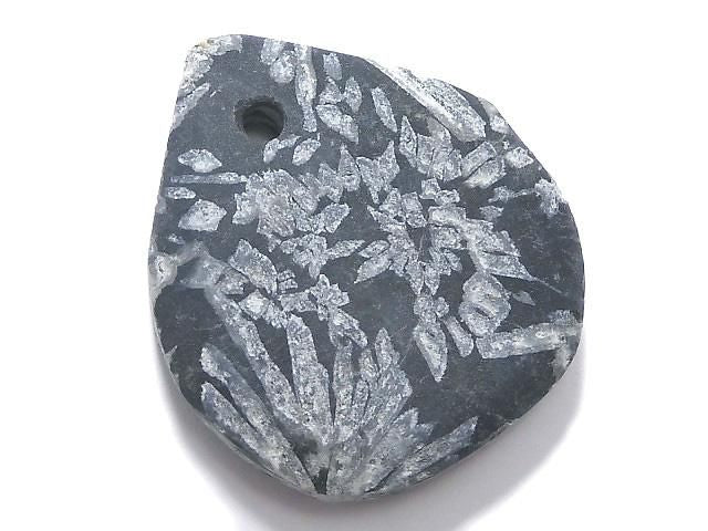 Chrysanthemum Stone 1pc NO.11 [One of a kind]