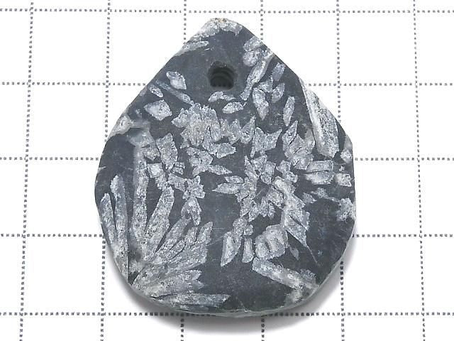 Chrysanthemum Stone 1pc NO.11 [One of a kind]
