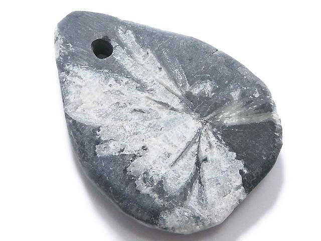 Chrysanthemum Stone 1pc NO.12 [One of a kind]
