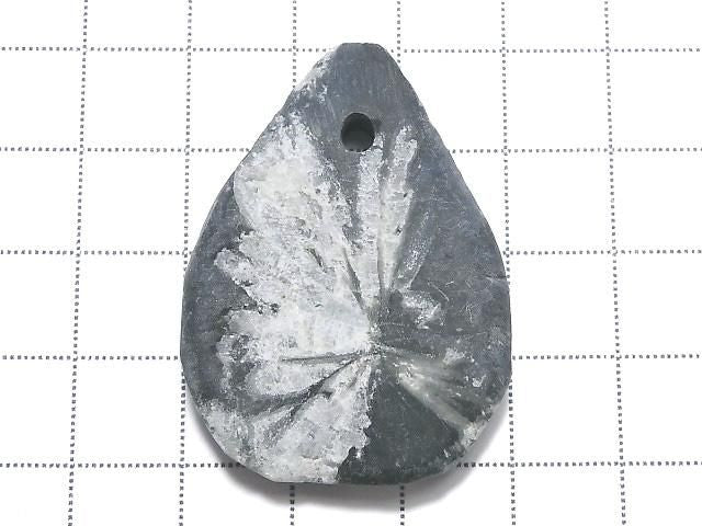 Chrysanthemum Stone 1pc NO.12 [One of a kind]
