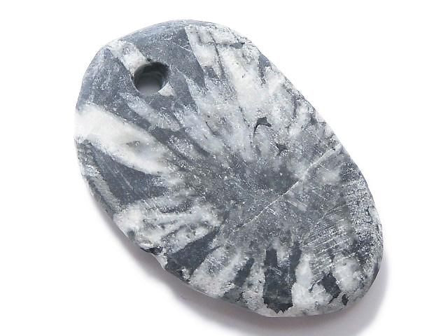 Chrysanthemum Stone 1pc NO.13 [One of a kind]