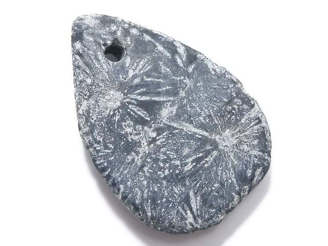 Chrysanthemum Stone 1pc NO.16 [One of a kind]