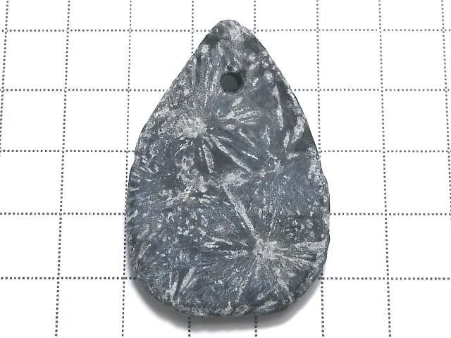 Chrysanthemum Stone 1pc NO.16 [One of a kind]