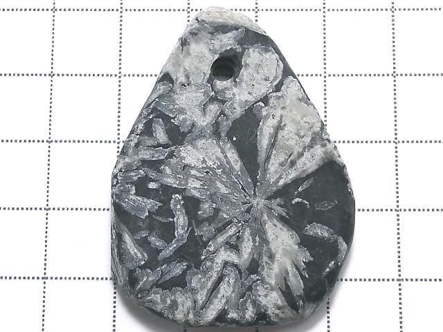 Chrysanthemum Stone 1pc NO.18 [One of a kind]