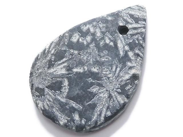Chrysanthemum Stone 1pc NO.19 [One of a kind]