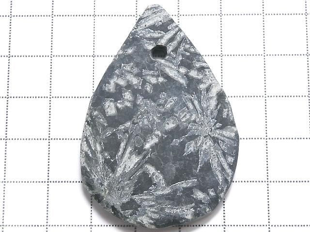 Chrysanthemum Stone 1pc NO.19 [One of a kind]