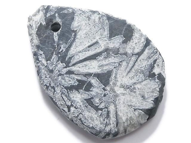 Chrysanthemum Stone 1pc NO.20 [One of a kind]