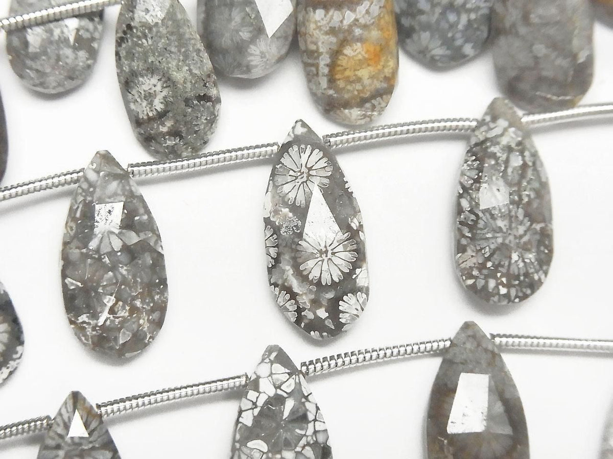 Fossil Coral Pear shape Faceted Briolette 1strand beads (10pcs )