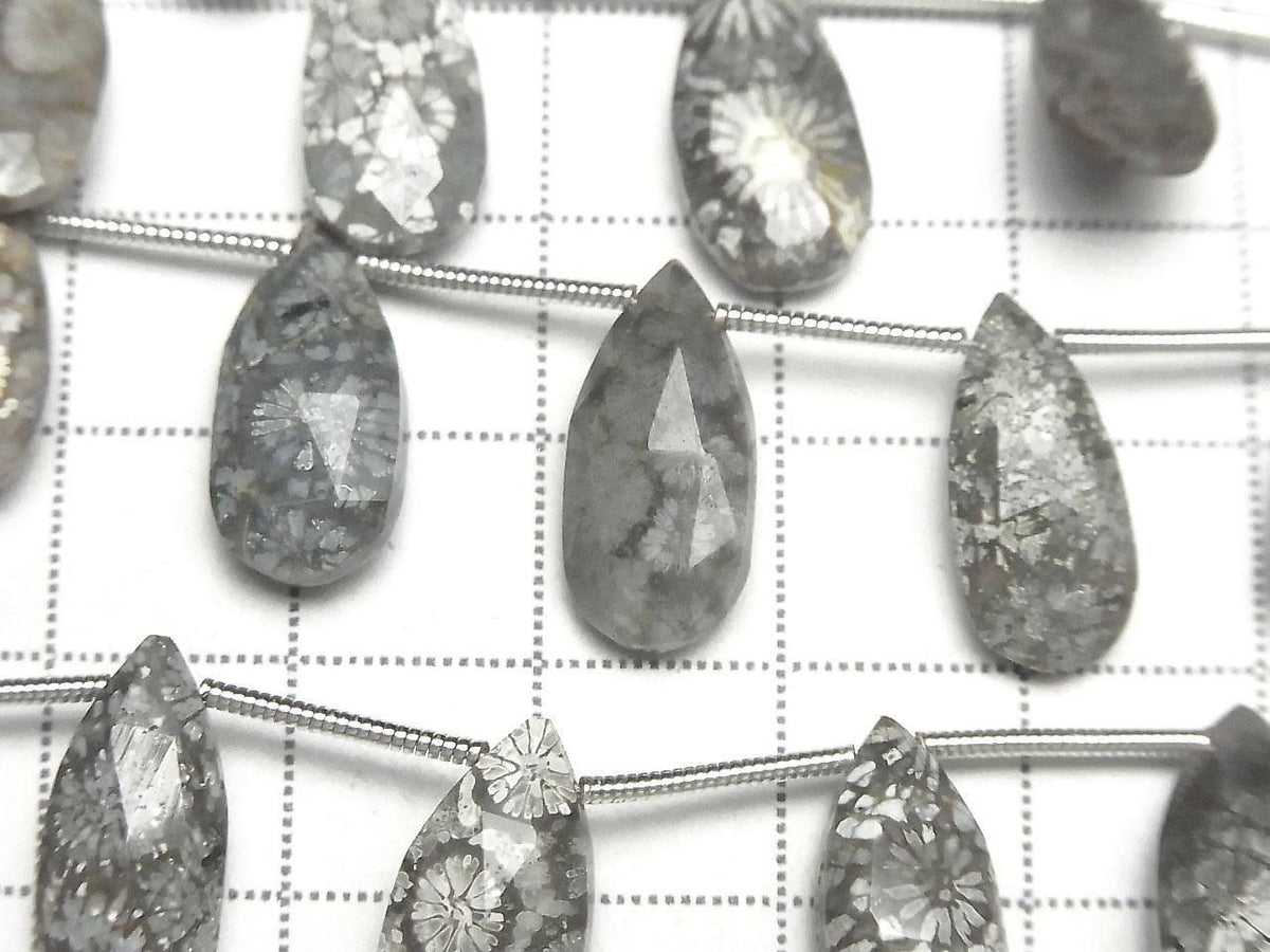 Fossil Coral Pear shape Faceted Briolette 1strand beads (10pcs )
