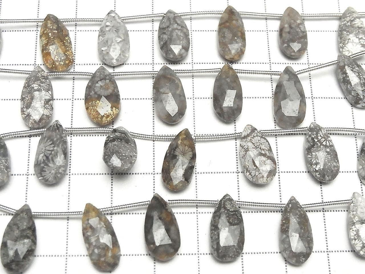 Fossil Coral Pear shape Faceted Briolette 1strand beads (10pcs )