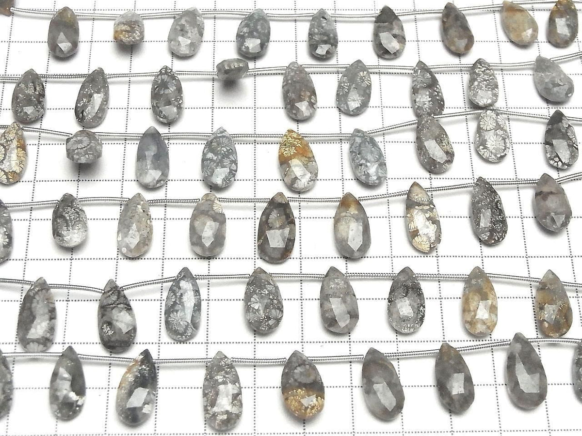 Fossil Coral Pear shape Faceted Briolette 1strand beads (10pcs )