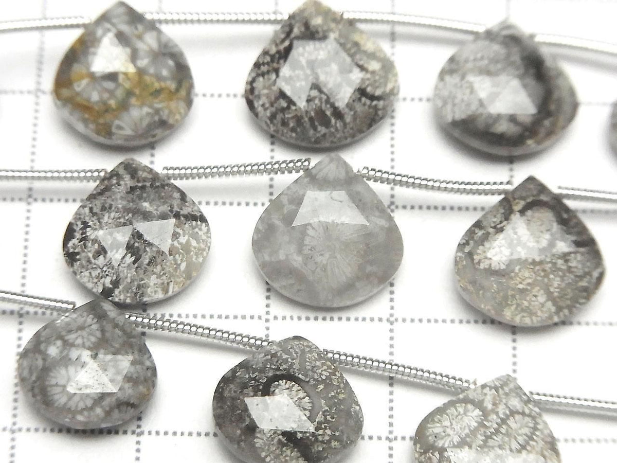 Fossil Coral Chestnut Faceted Briolette 1strand beads (10pcs )