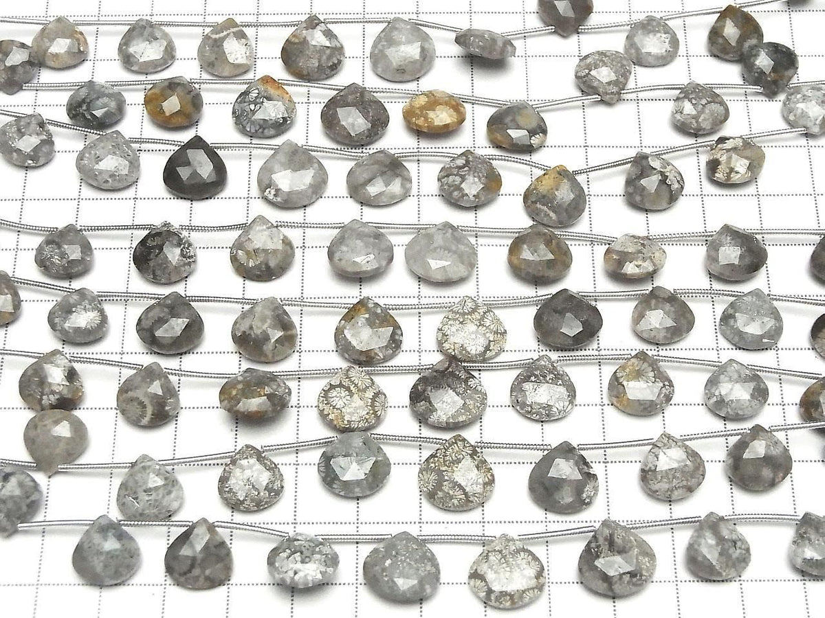 Fossil Coral Chestnut Faceted Briolette 1strand beads (10pcs )