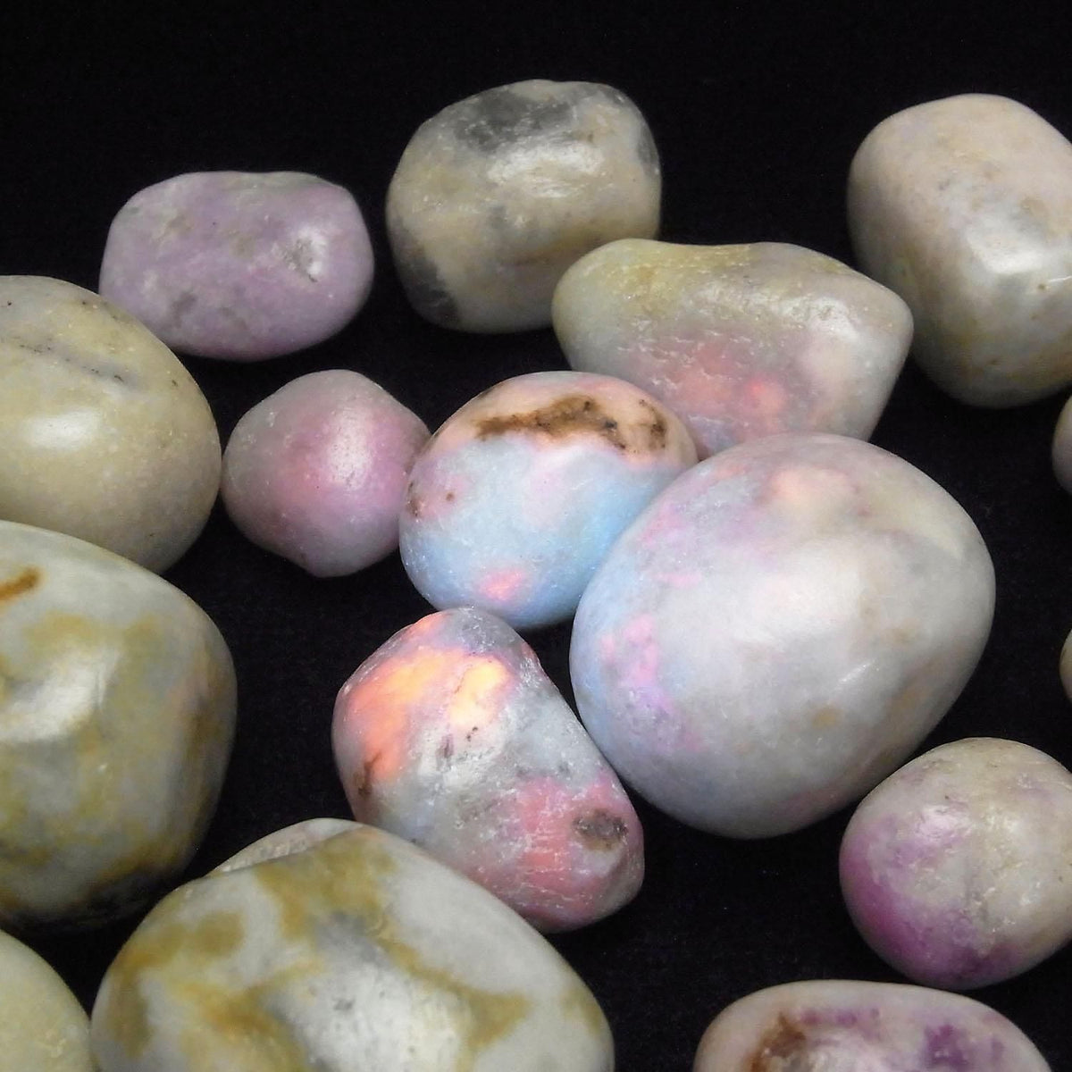 Hackmanite Undrilled Nuggets 100 grams