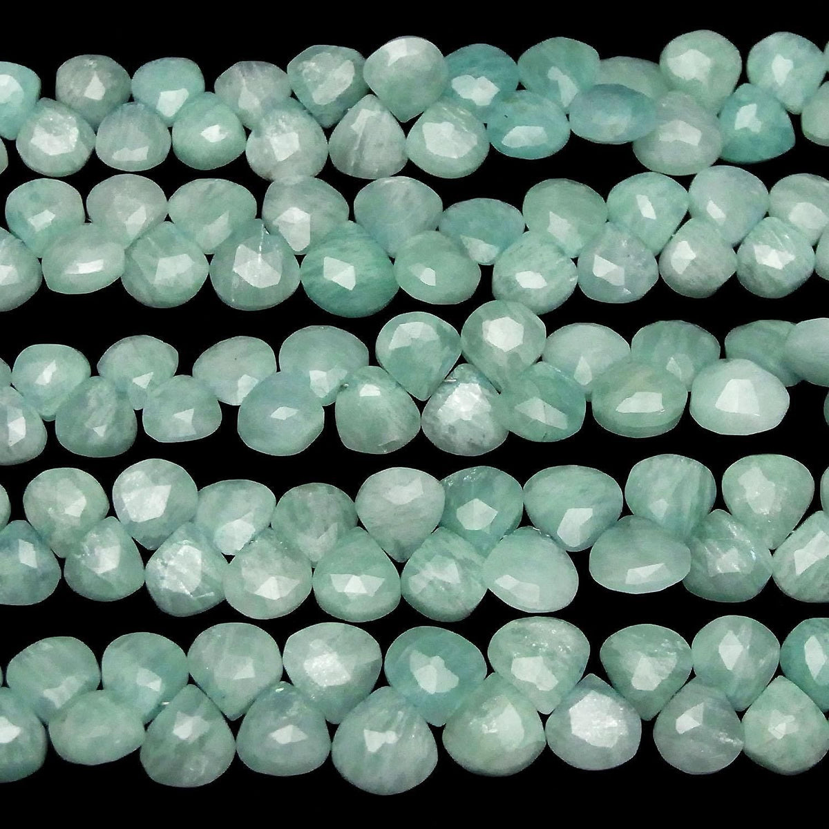 Amazonite AA++ Chestnut Faceted Briolette half or 1strand beads (aprx.7inch/17cm)