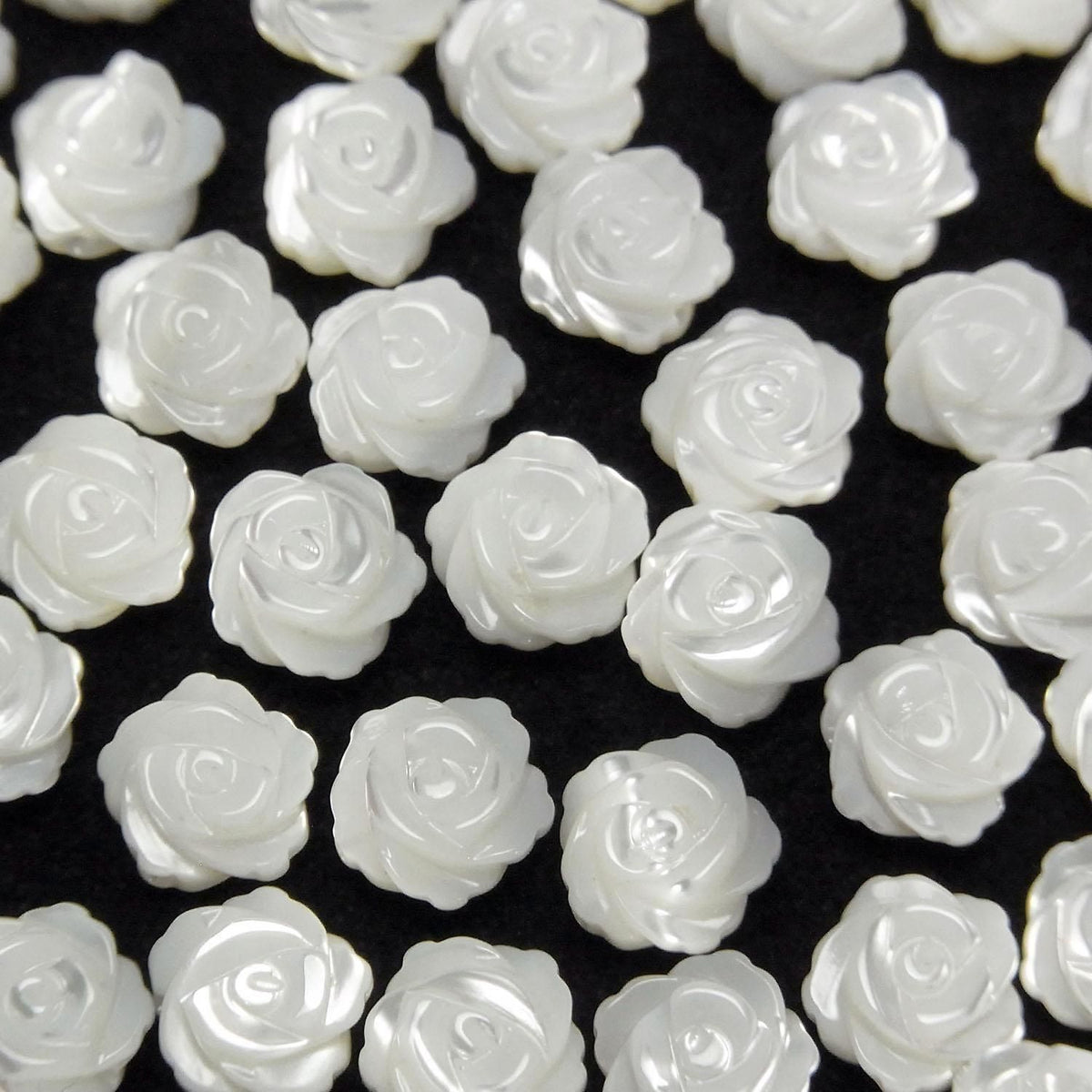 Mother of Pearl (MOP) White Rose (Both Side Finish) 8mm [Drilled Hole] 2pcs