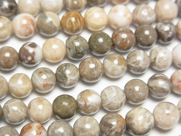 [Video] Fossil Coral  Round 6mm 1strand beads (aprx.15inch/37cm)