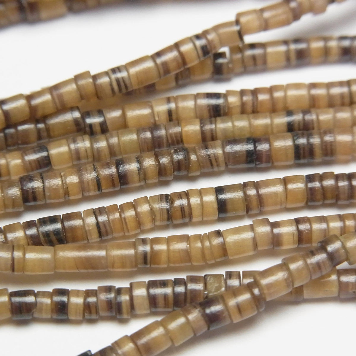 Pen Shell Rondelle (Heishi) 3x3x1.5mm Brown Half or 1strand beads (approx. 23 inches/58 cm)