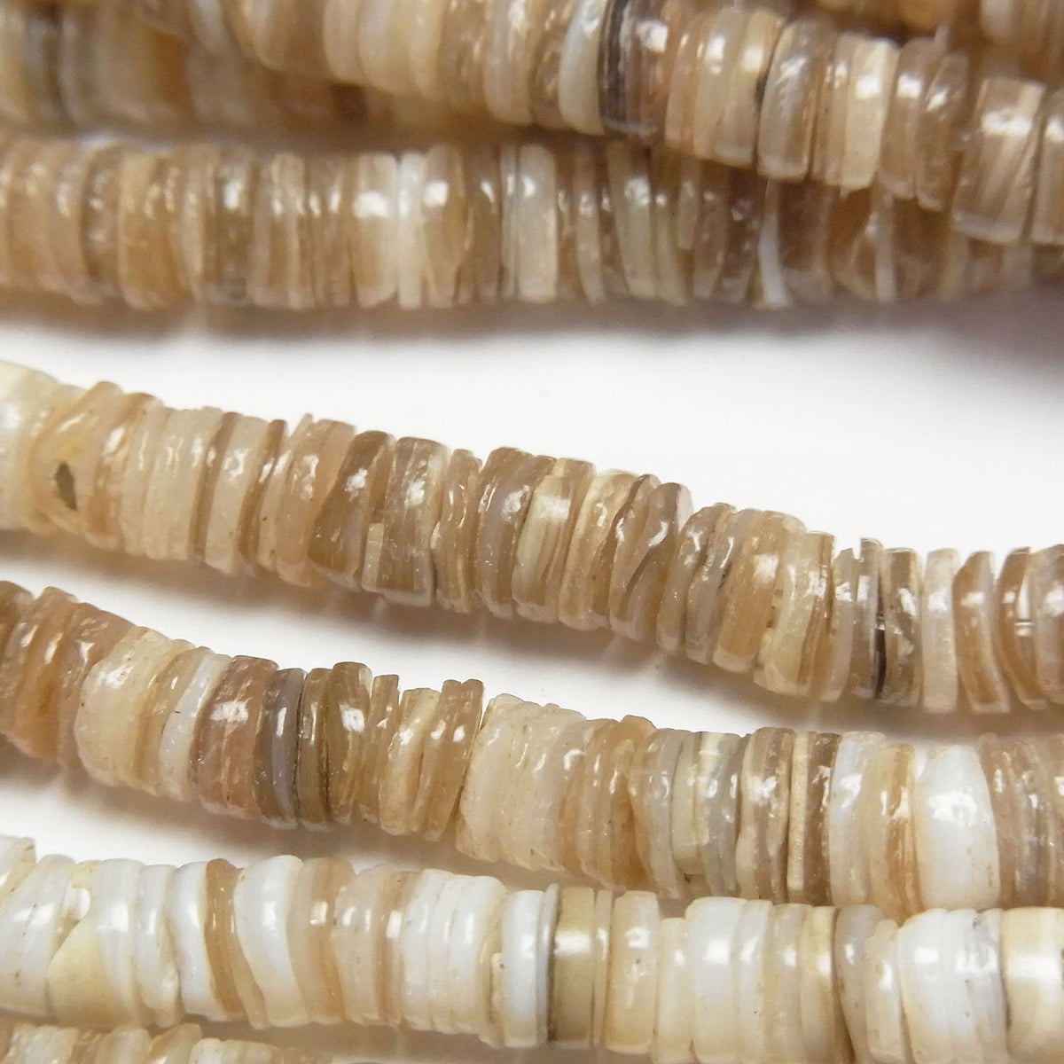 Muschel Rondelle (Heishi) 5x5x1.5mm 1Strang Perlen (ca. 59 cm)
