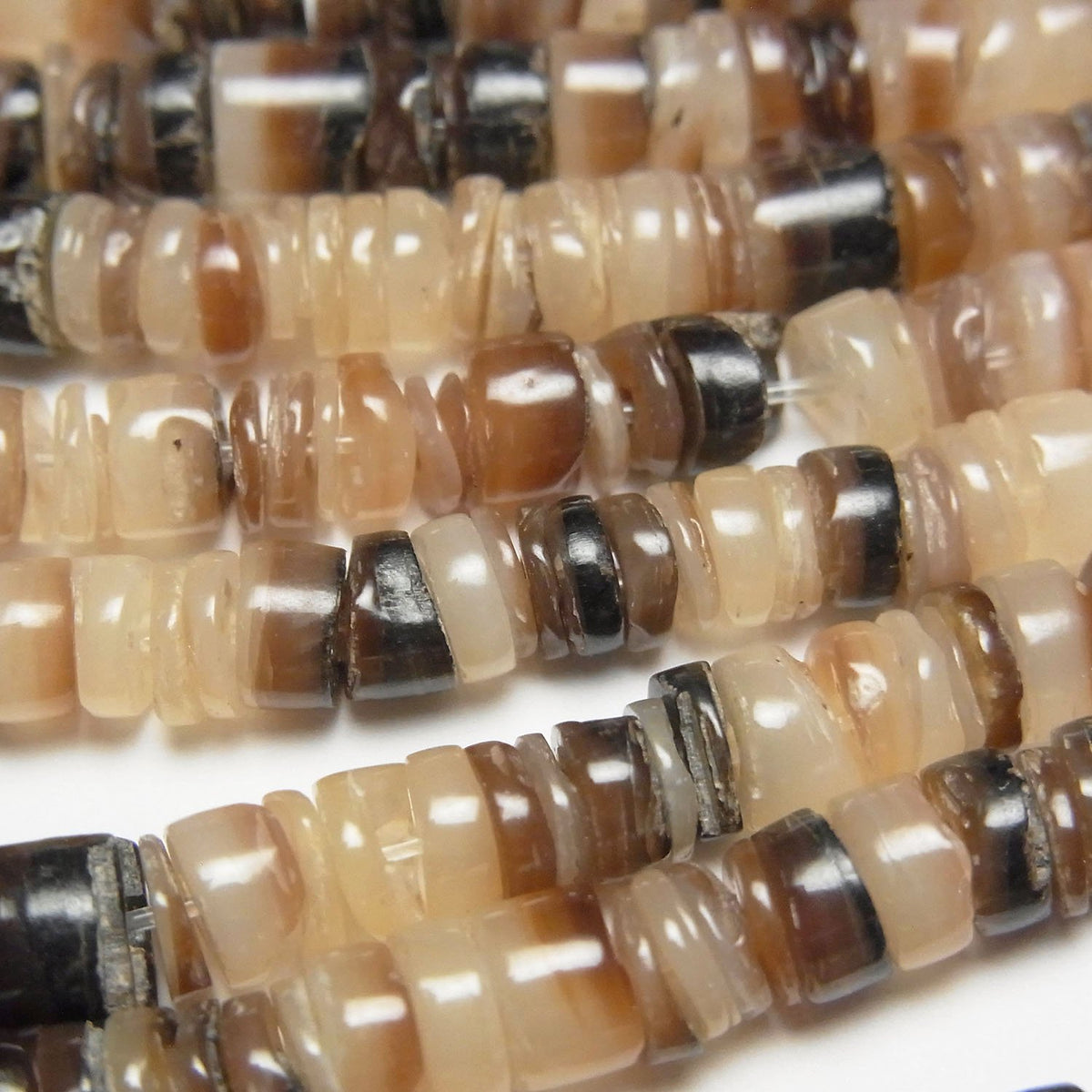 Brown Lip Shell Rondelle (Heishi)5x5x1mm 1strand beads (aprx.24inch/60cm)