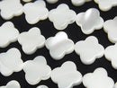[Video] Mother of Pearl MOP Flower Motif 12x12x2.5mm White 1strand beads (aprx.15inch / 37cm)