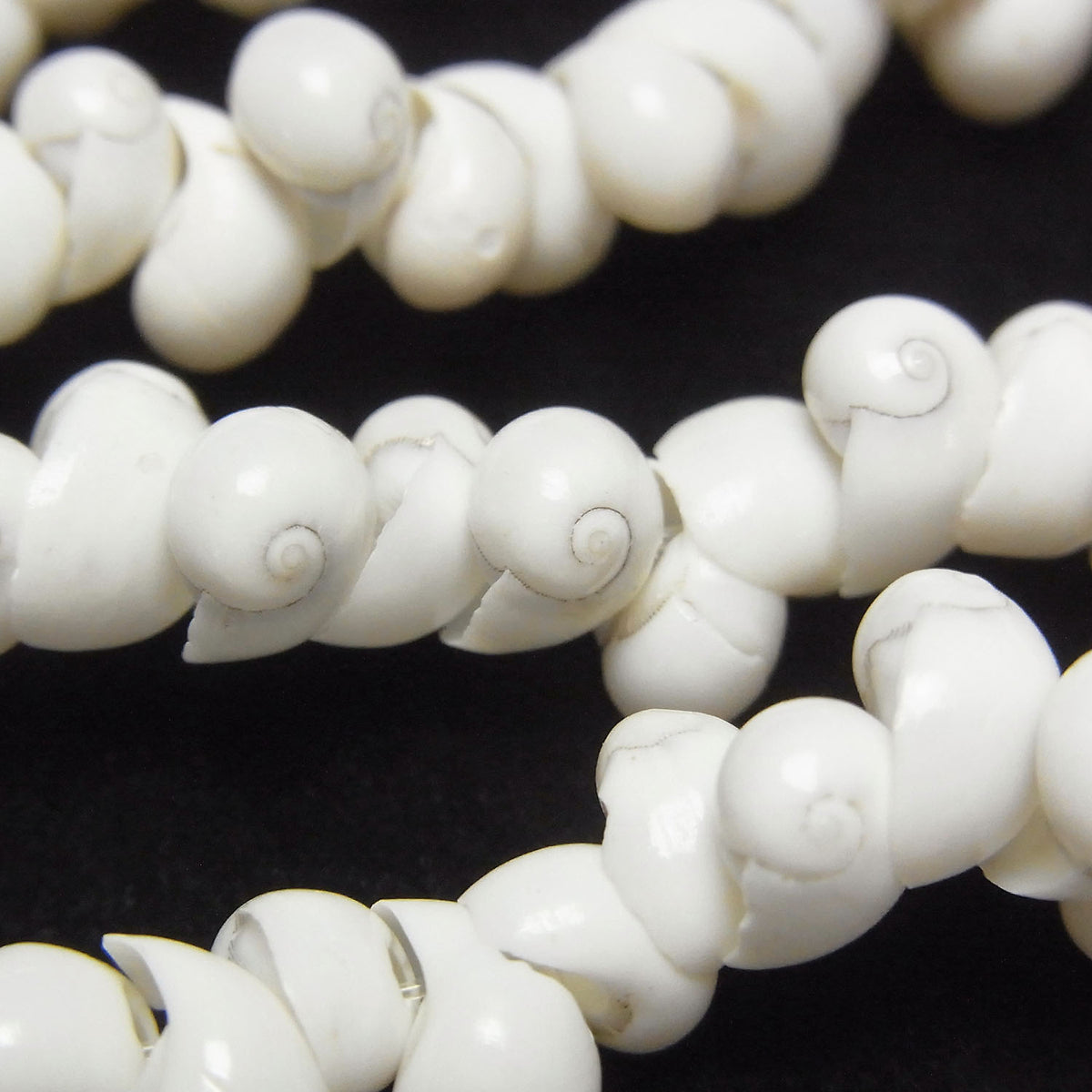 Mongo Shell 1strand beads (aprx.34inch/86cm)