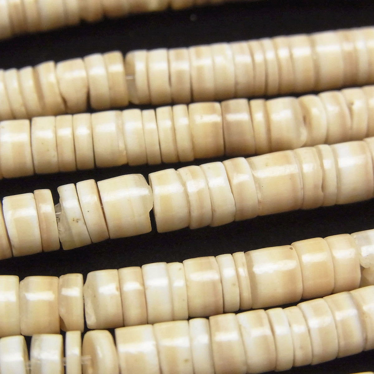 Striped Beige Shell Rondelle (Heishi)5x5x1.5mm half or 1strand beads (aprx.23inch/58cm)