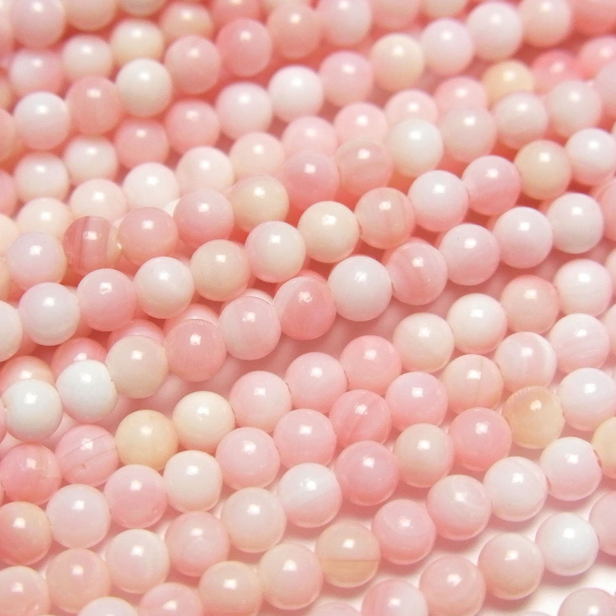 Queen Conch Shell AAA Round 3mm half or 1strand beads (approx. 15 inches/38 cm)