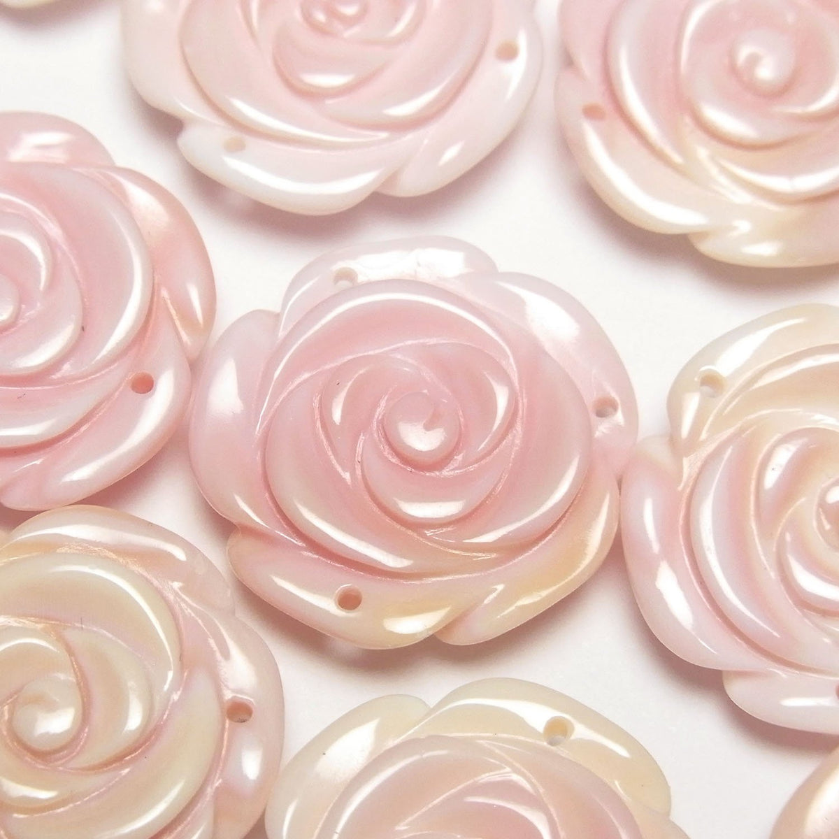 Königin Conch-Schale AAA Rose 20mm [3 Löcher] 1 Stück 4,79 $!
