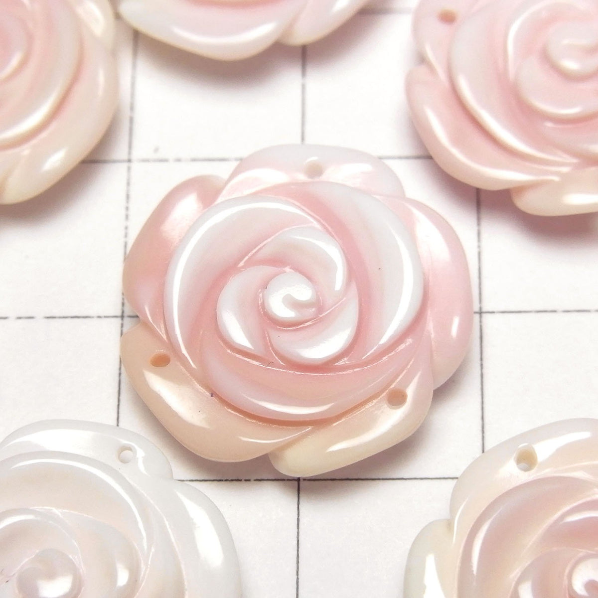 Königin Conch-Schale AAA Rose 20mm [3 Löcher] 1 Stück 4,79 $!