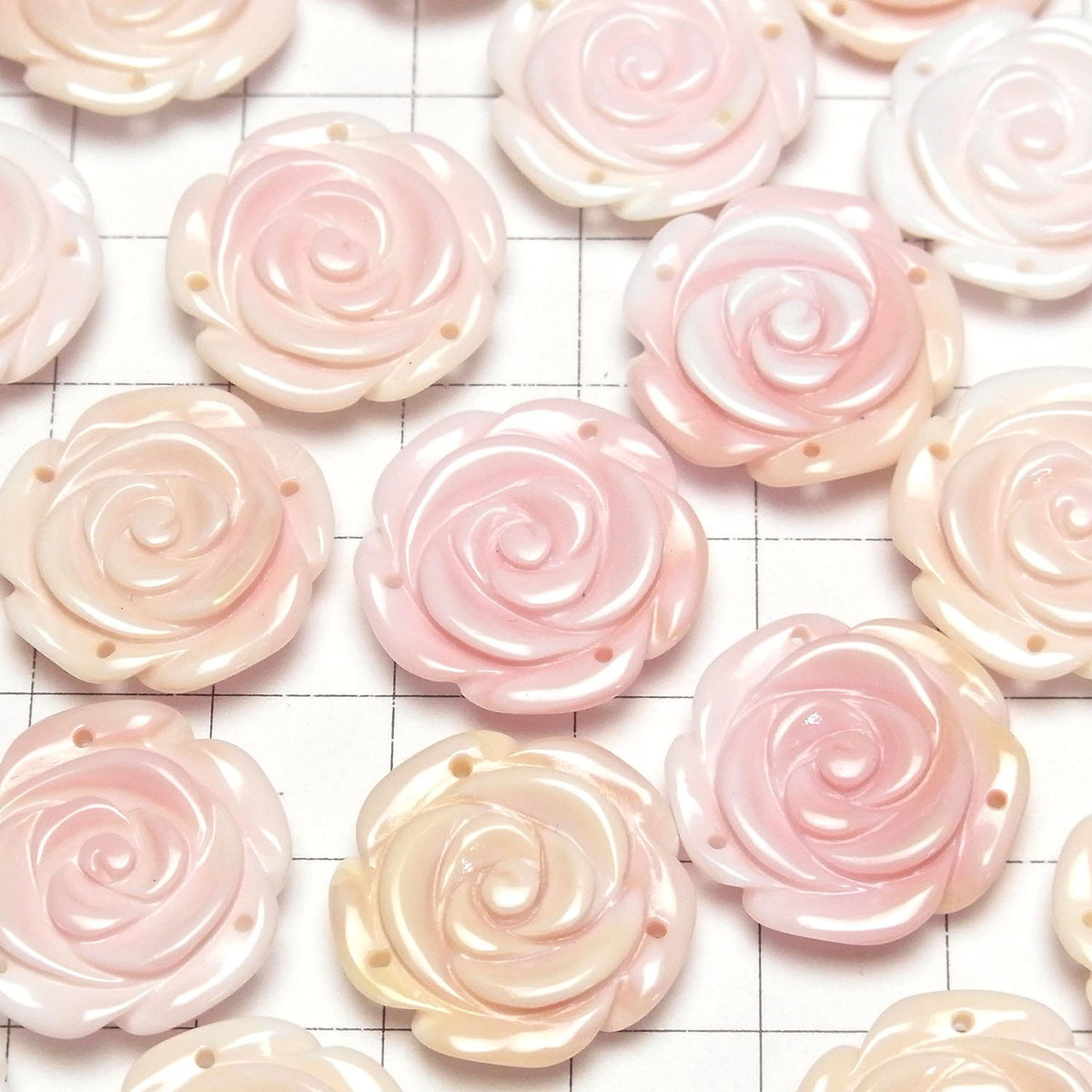 Königin Conch-Schale AAA Rose 20mm [3 Löcher] 1 Stück 4,79 $!