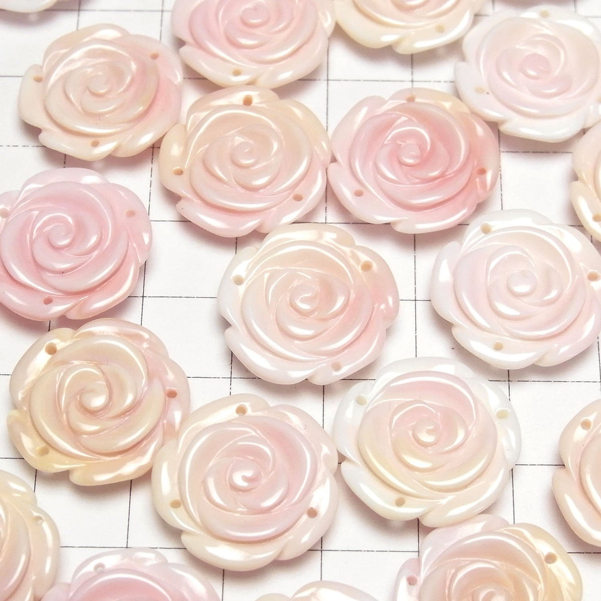 Königin Conch-Schale AAA Rose 20mm [3 Löcher] 1 Stück 4,79 $!