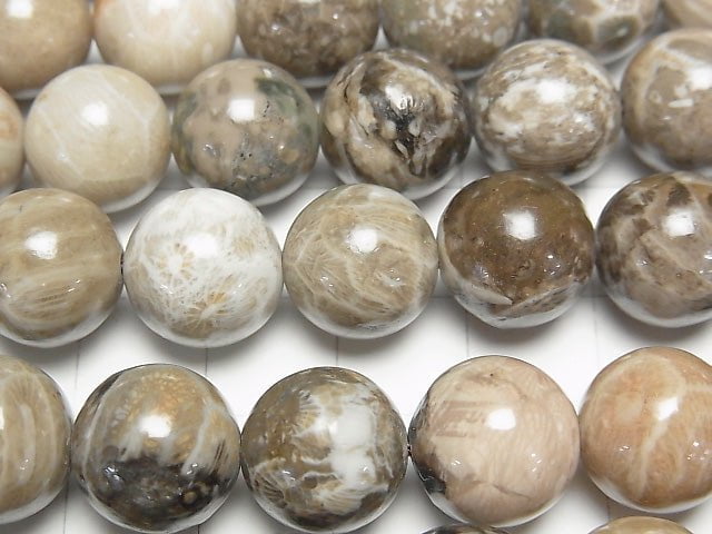 [Video] Fossil Coral  Round 12mm half or 1strand beads (aprx.15inch/36cm)